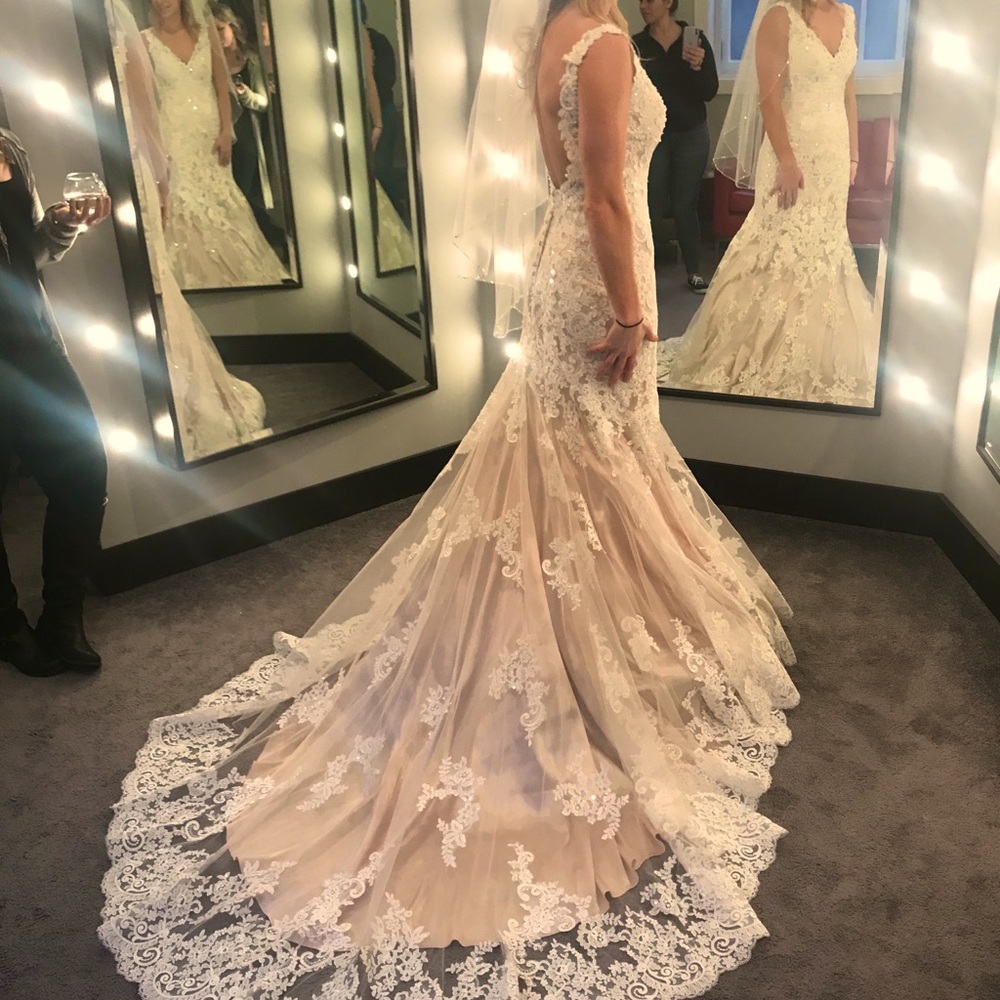 Beautiful wedding dress, champagne underneath with lace and sparkle overlay. - Picture 1 of 12